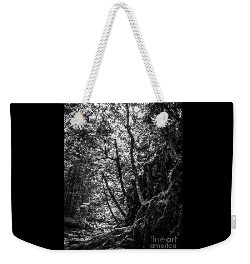Vermont Weekender Tote Bag featuring the photograph Missisquoi River in Vermont - 1 BW by James Aiken