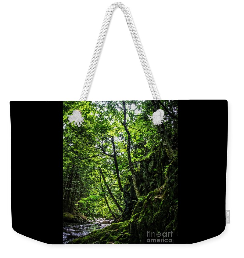Vermont Weekender Tote Bag featuring the photograph Missisquoi River in Vermont - 1 by James Aiken