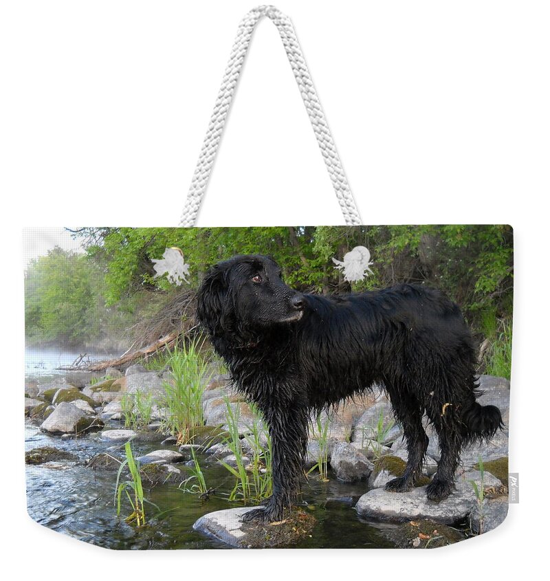 Mississippi River Weekender Tote Bag featuring the photograph Mississippi river Posing Dog by Kent Lorentzen
