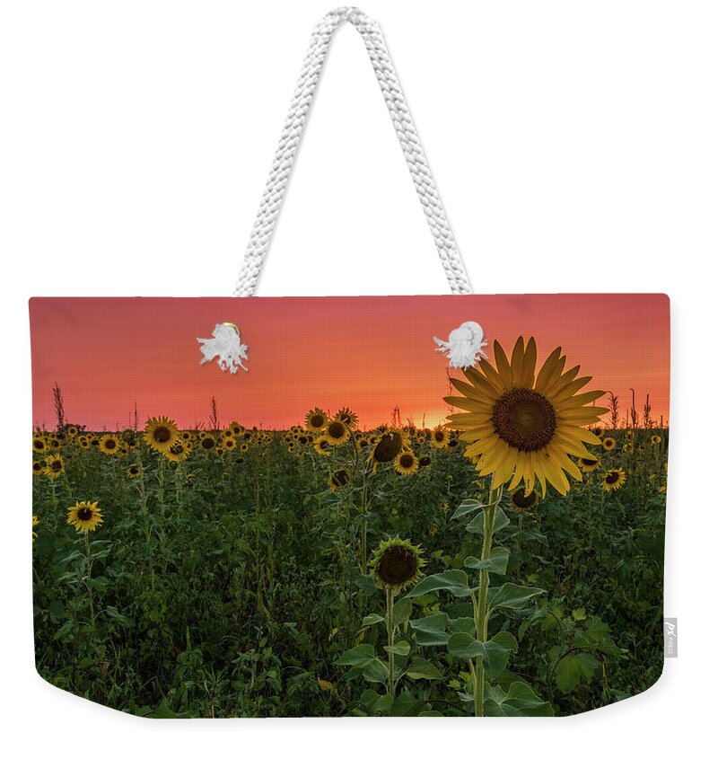 Sunset Weekender Tote Bag featuring the photograph Missouri Sunset by Holly Ross