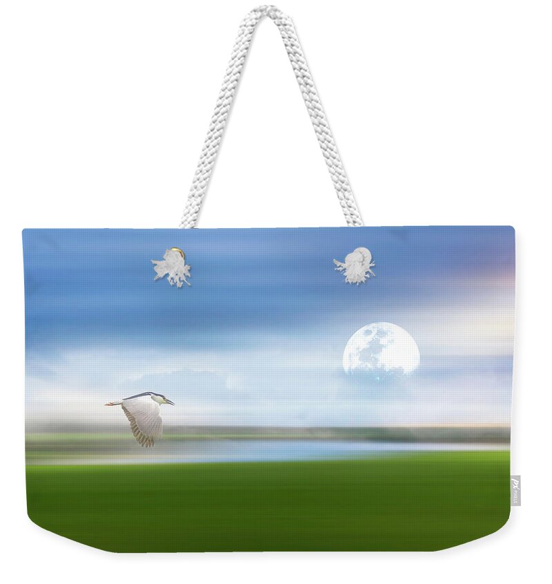 Mist On The Bayou Weekender Tote Bag featuring the photograph Mist On The Bayou by Georgiana Romanovna