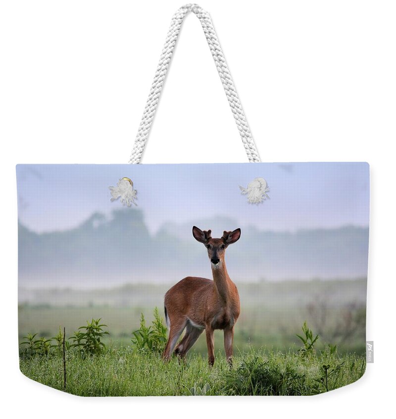 Deer Weekender Tote Bag featuring the photograph Misty Buck by Bonfire Photography