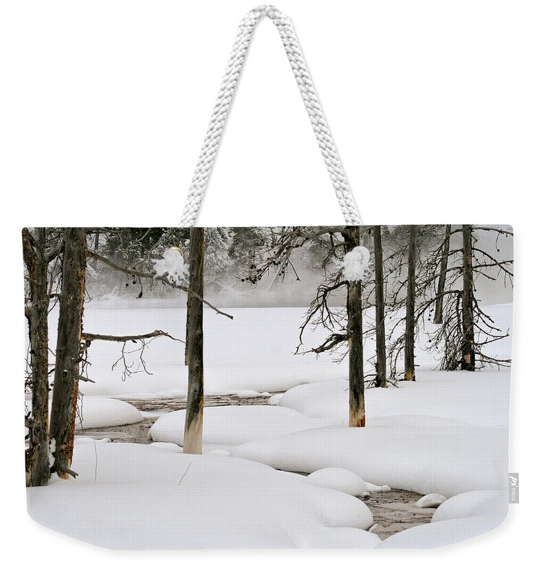 Yellowstone Weekender Tote Bag featuring the photograph Misty Morn by Susan Rissi Tregoning