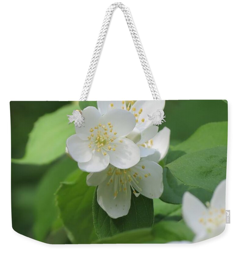 Mock Orange Weekender Tote Bag featuring the photograph Mock Orange Beauty by MTBobbins Photography