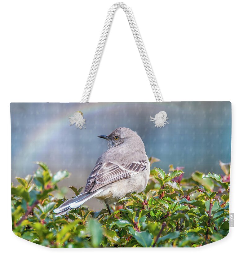 Mockingbird Weekender Tote Bag featuring the photograph Mockingbird Rainbow by Cathy Kovarik