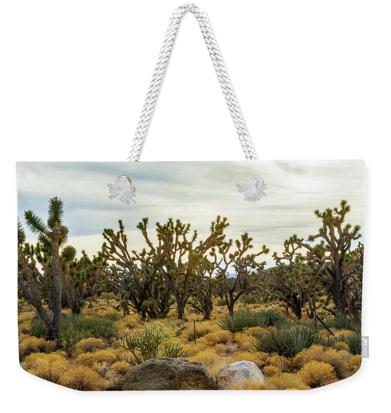 Mohave Joshua Trees Forest Weekender Tote Bag featuring the photograph Mohave Joshua Trees Forest by Bonnie Follett