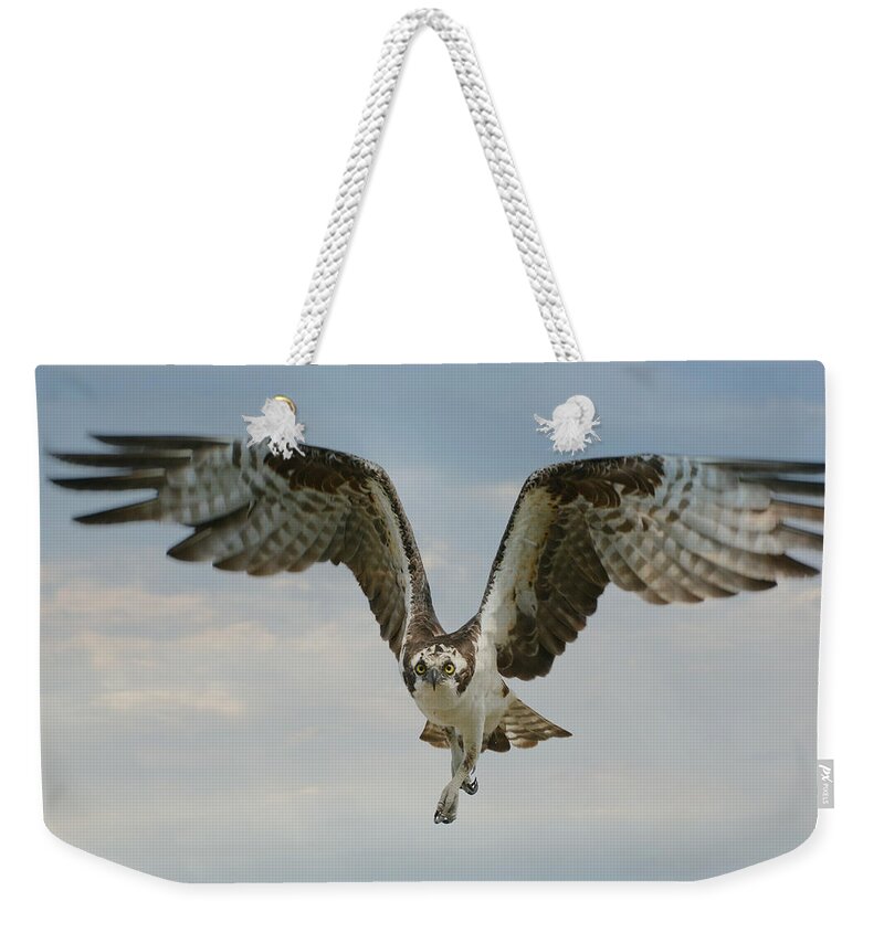 Osprey Weekender Tote Bag featuring the photograph Momentum by Fraida Gutovich