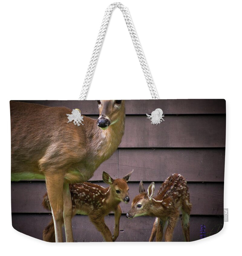 Mom's Treasures Weekender Tote Bag featuring the photograph Mom's Treasures by David Patterson