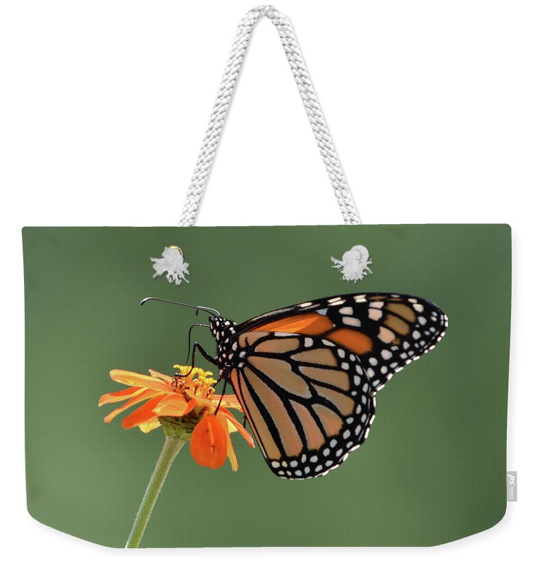 Monarch Weekender Tote Bag featuring the photograph Monarch by Ben Foster