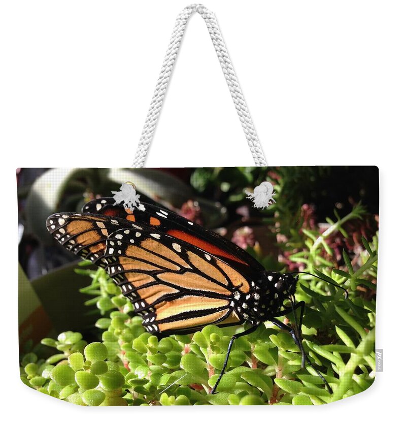 Monarch Weekender Tote Bag featuring the photograph Monarch Butterfly by Annie Walczyk