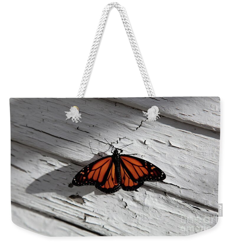 Monarch Butterfly Weekender Tote Bag featuring the photograph Monarch Butterfly by Dean Triolo
