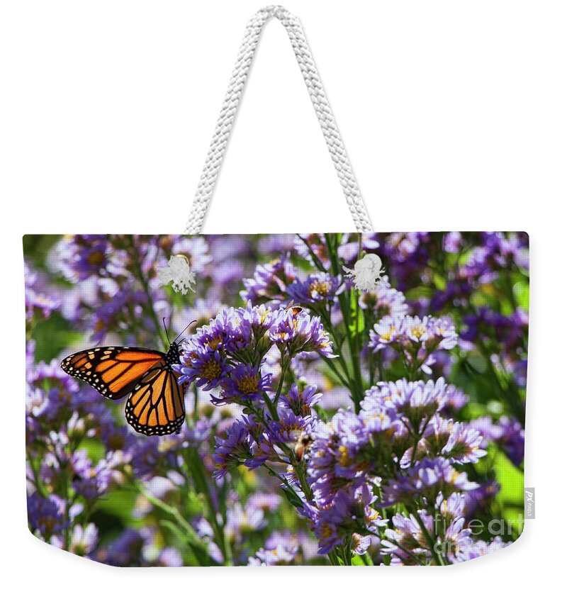 Monarch Butterfly Weekender Tote Bag featuring the photograph Monarch Butterfly by Jeff Breiman