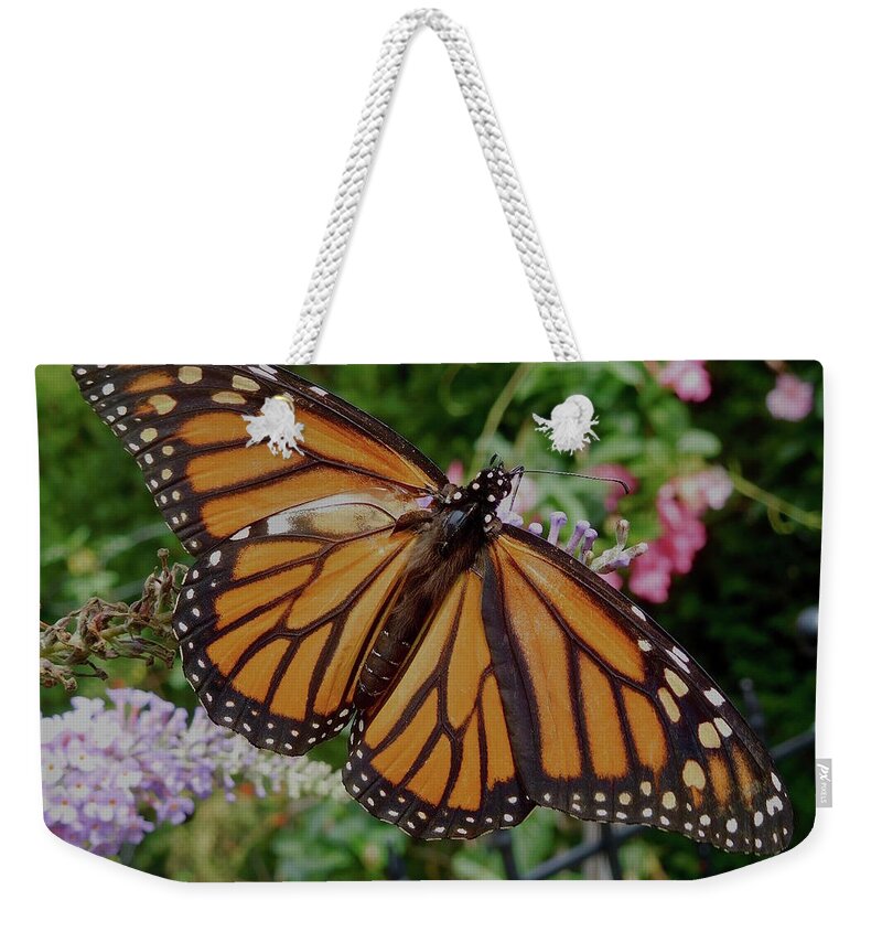 Monarch Butterfly Weekender Tote Bag featuring the photograph Monarch Butterfly by Melinda Saminski