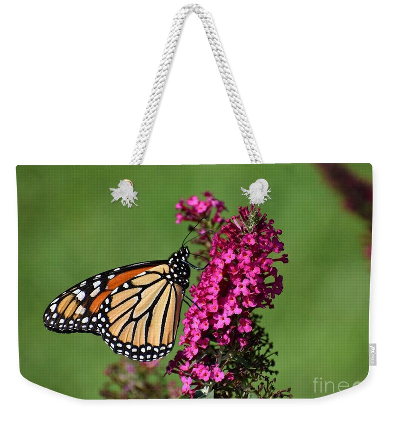 Flowers Weekender Tote Bag featuring the photograph Monarch by Christina Verdgeline