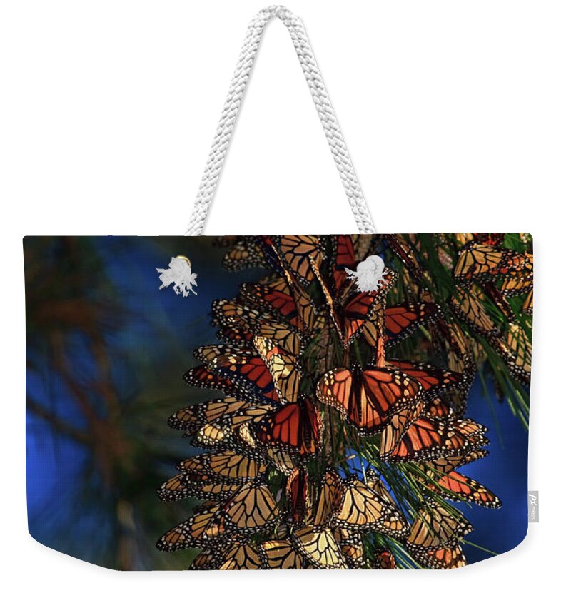 Monarch Cluster Weekender Tote Bag featuring the photograph Monarch Cluster by Beth Sargent