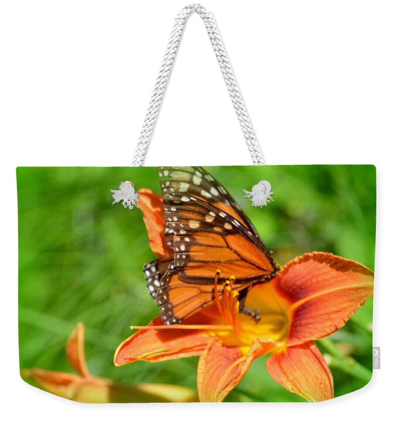  Monarch Weekender Tote Bag featuring the photograph Monarch Minutes by Kimberly Woyak