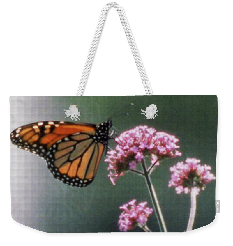 Monarch Weekender Tote Bag featuring the photograph Monarch No. 7-1 by Sandy Taylor