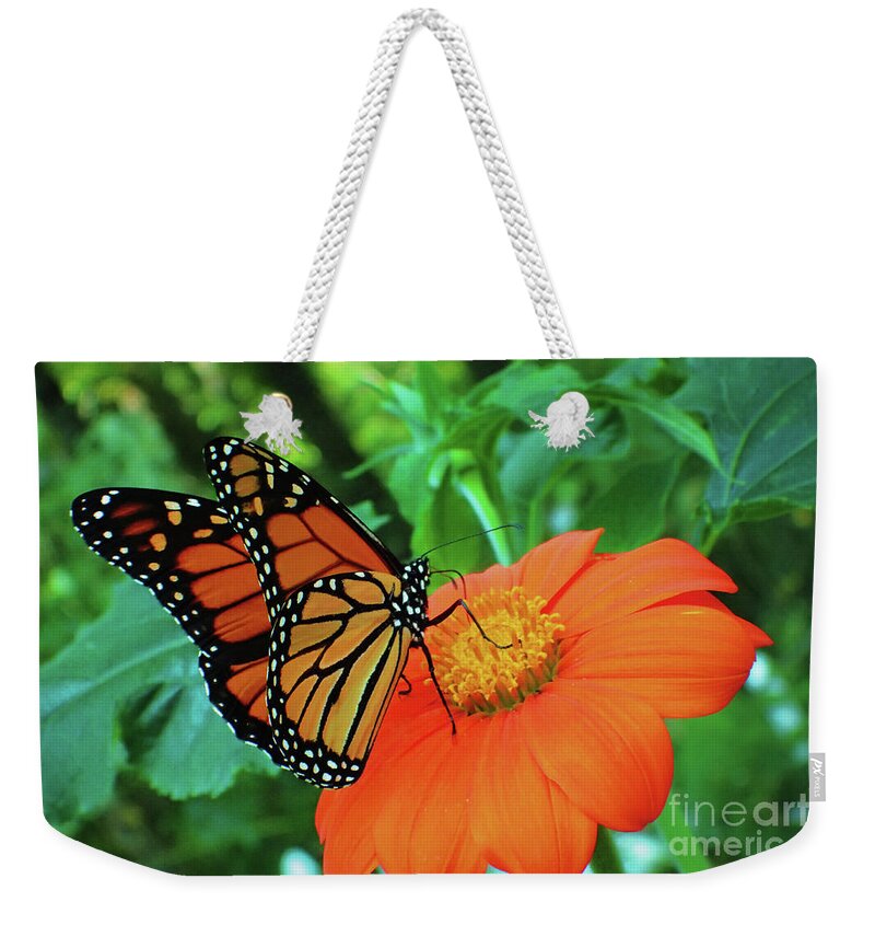 Monarch Weekender Tote Bag featuring the photograph Monarch on Mexican Sunflower by Nicole Angell