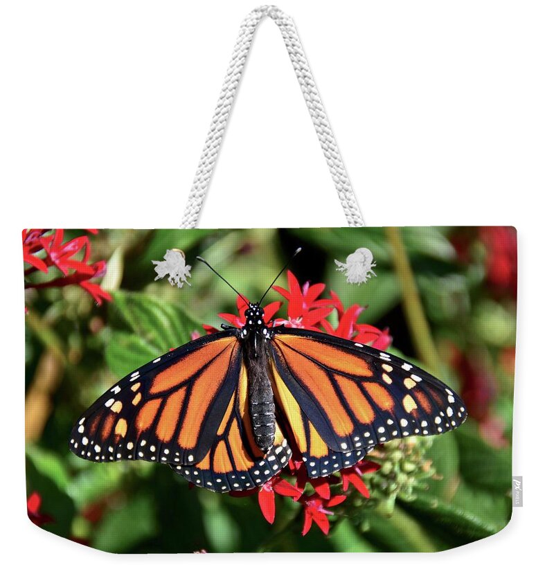 Butterfly Weekender Tote Bag featuring the photograph Monarch on Red Pentas by Carol Bradley