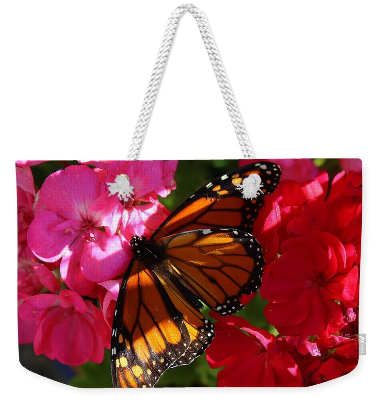 North American Butterflies Weekender Tote Bag featuring the photograph Monarch on Summer Geraniums by Dora Sofia Caputo