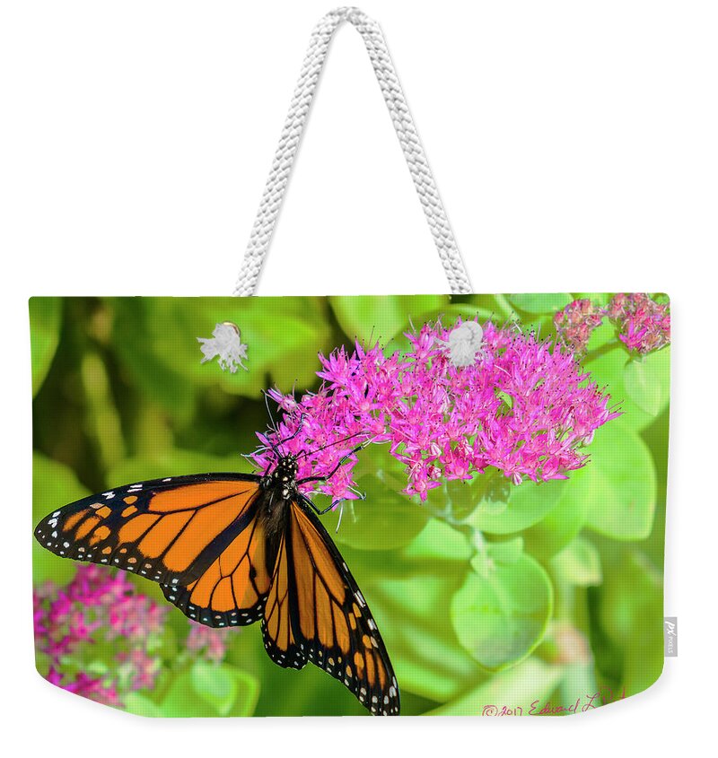 Heron Heaven Weekender Tote Bag featuring the photograph Monarch Pretty In Pink by Ed Peterson