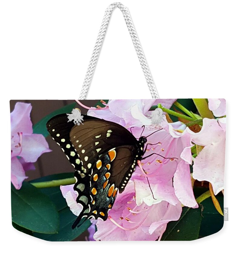 Butterfly Weekender Tote Bag featuring the photograph Tuesday Two by Dani McEvoy