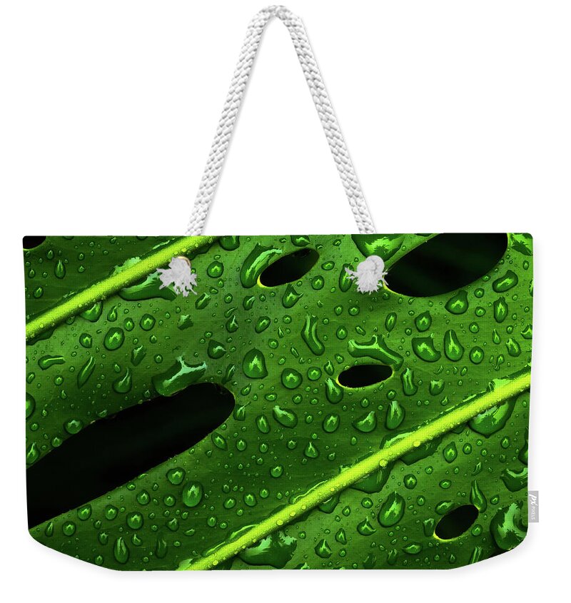 Big Island Weekender Tote Bag featuring the photograph Monstera by Christopher Johnson
