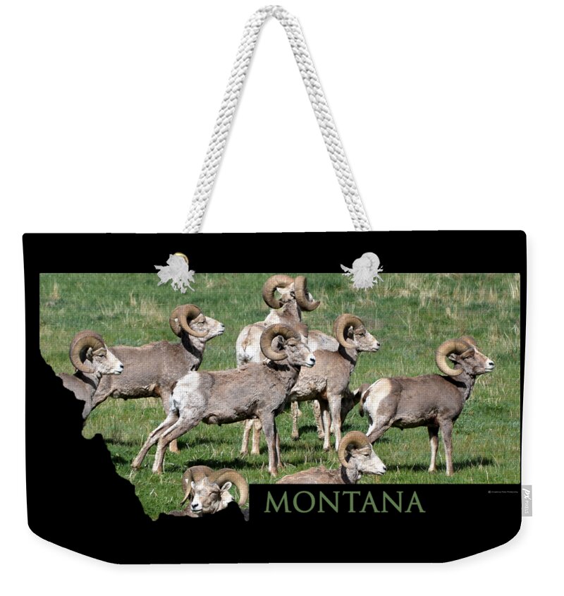 Montana Weekender Tote Bag featuring the photograph Montana -Bighorn Rams by Whispering Peaks Photography