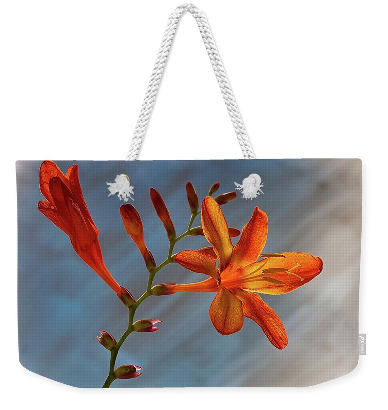Floral Weekender Tote Bag featuring the photograph Montbretia 2 by Shirley Mitchell