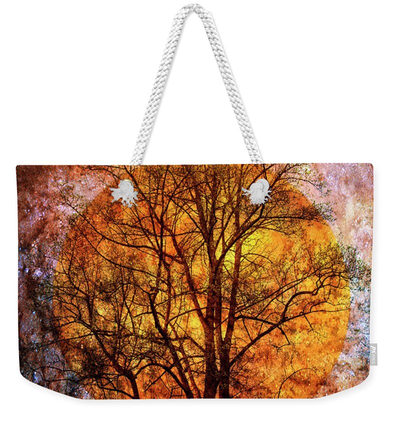 Appalachia Weekender Tote Bag featuring the photograph Moon Glow on a Starry Night by Debra and Dave Vanderlaan