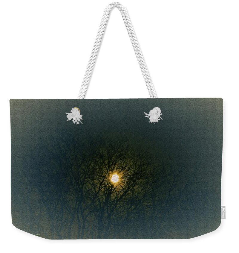 Moon In Silhouette Weekender Tote Bag featuring the photograph Moon in Silhouette by Sonali Gangane