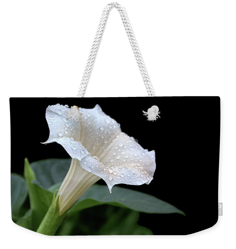 Flowers Weekender Tote Bag featuring the photograph Moonflower - Rain Drops by Nikolyn McDonald