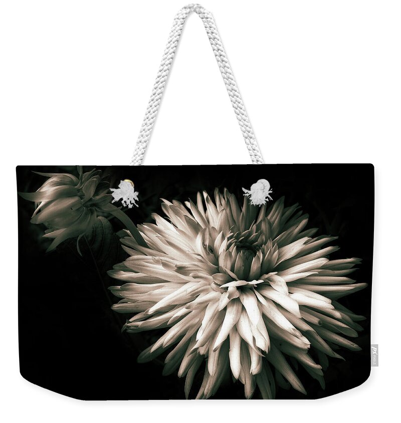 Dahlia Weekender Tote Bag featuring the photograph Moonlight and Dahlia by Jessica Jenney