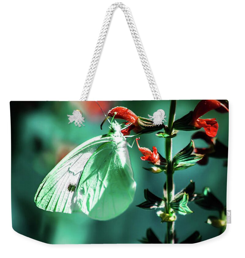 Butterfly Weekender Tote Bag featuring the photograph Moonlight butterfly by Gerald Kloss