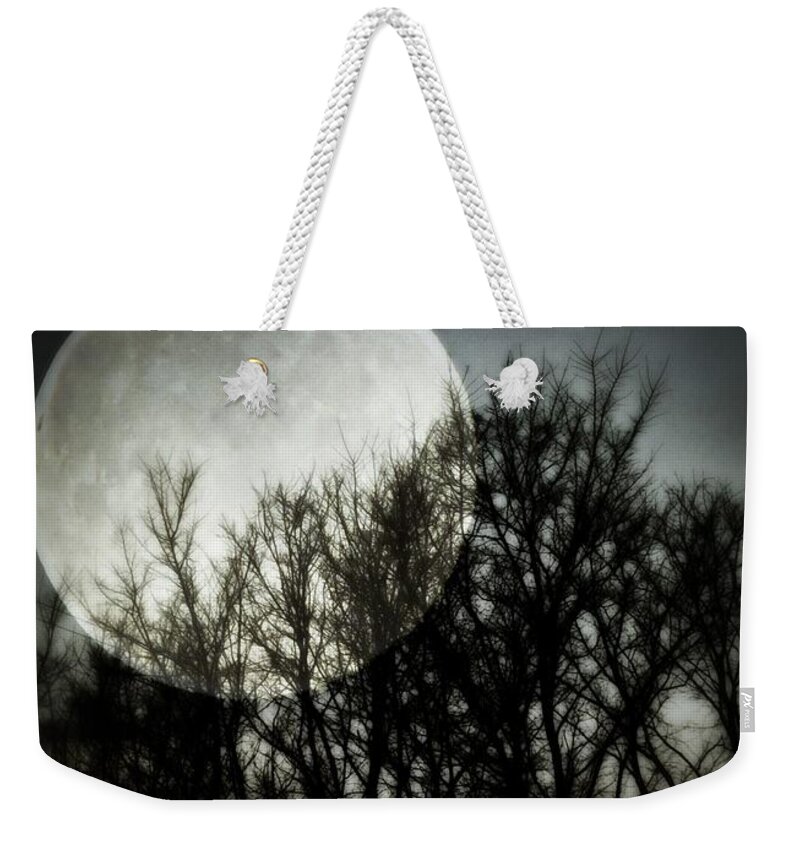 Moonlight Weekender Tote Bag featuring the photograph Moonlight by Marianna Mills