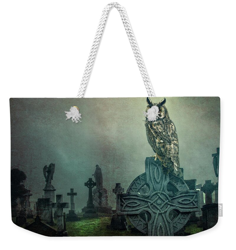 Cemetery Weekender Tote Bag featuring the photograph Moonlight Vigil by Brian Tarr