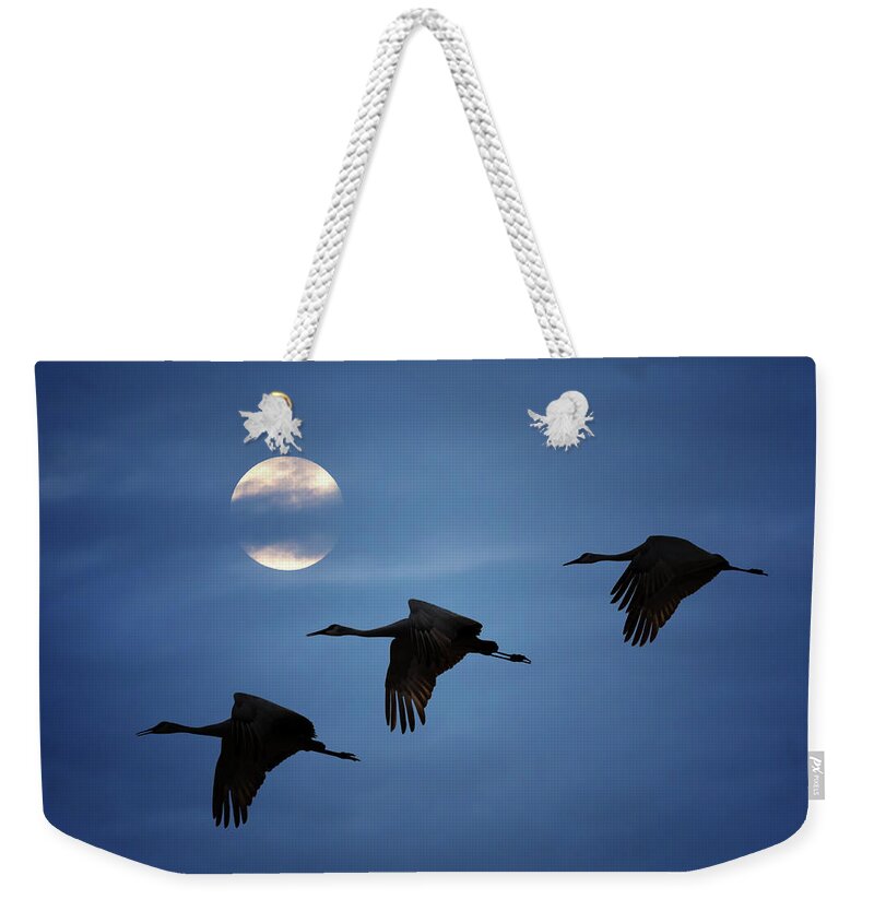 Sandhill Crane Weekender Tote Bag featuring the photograph Moonlit Flight by Susan Rissi Tregoning