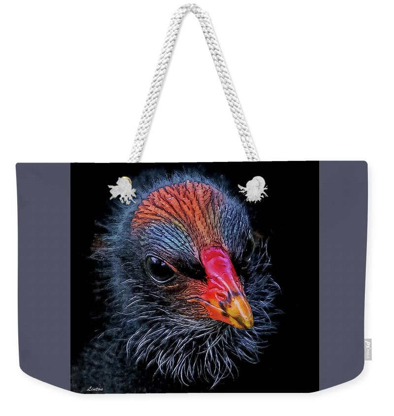 Common Moorhen Weekender Tote Bag featuring the digital art Moorhen Chick by Larry Linton