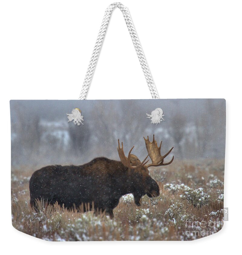 Moose Weekender Tote Bag featuring the photograph Moose In The Fog by Adam Jewell