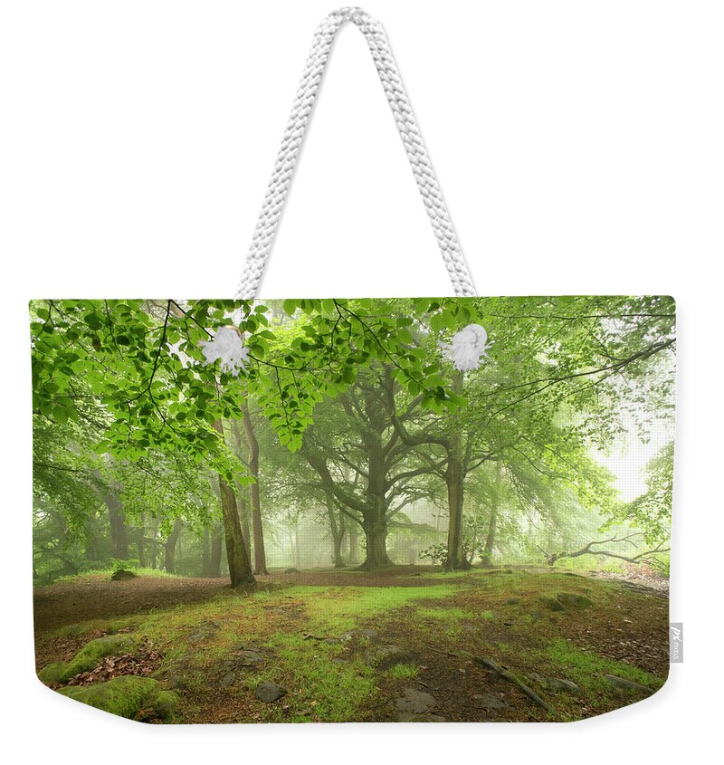 Fog Weekender Tote Bag featuring the photograph More of the Fog in the Trees. by Elena Perelman