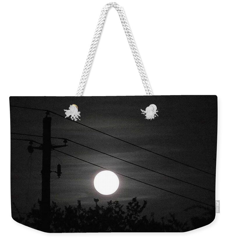 Keepaustinweird Weekender Tote Bag featuring the photograph More #texas #darkness And #moonshine by Austin Tuxedo Cat