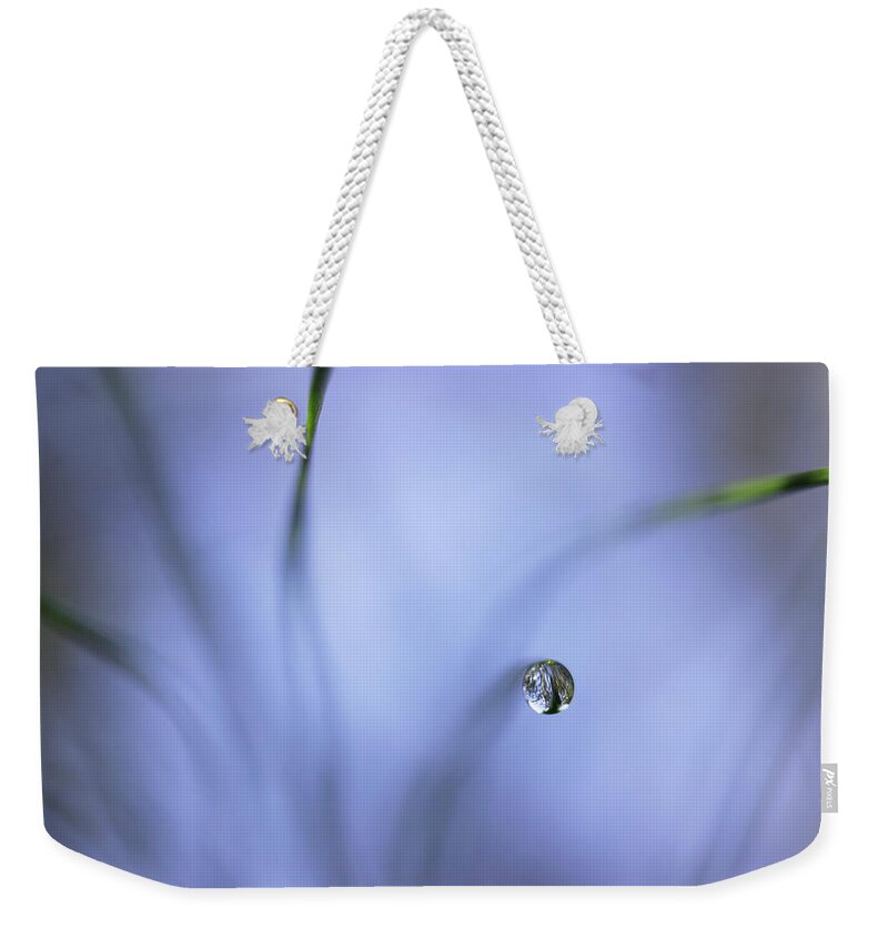 Pine Needles Weekender Tote Bag featuring the photograph Morning Among The Pine by Mike Eingle