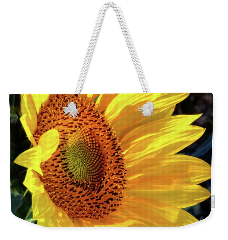 Sunflower Weekender Tote Bag featuring the photograph Morning Delight by Michael Ciskowski