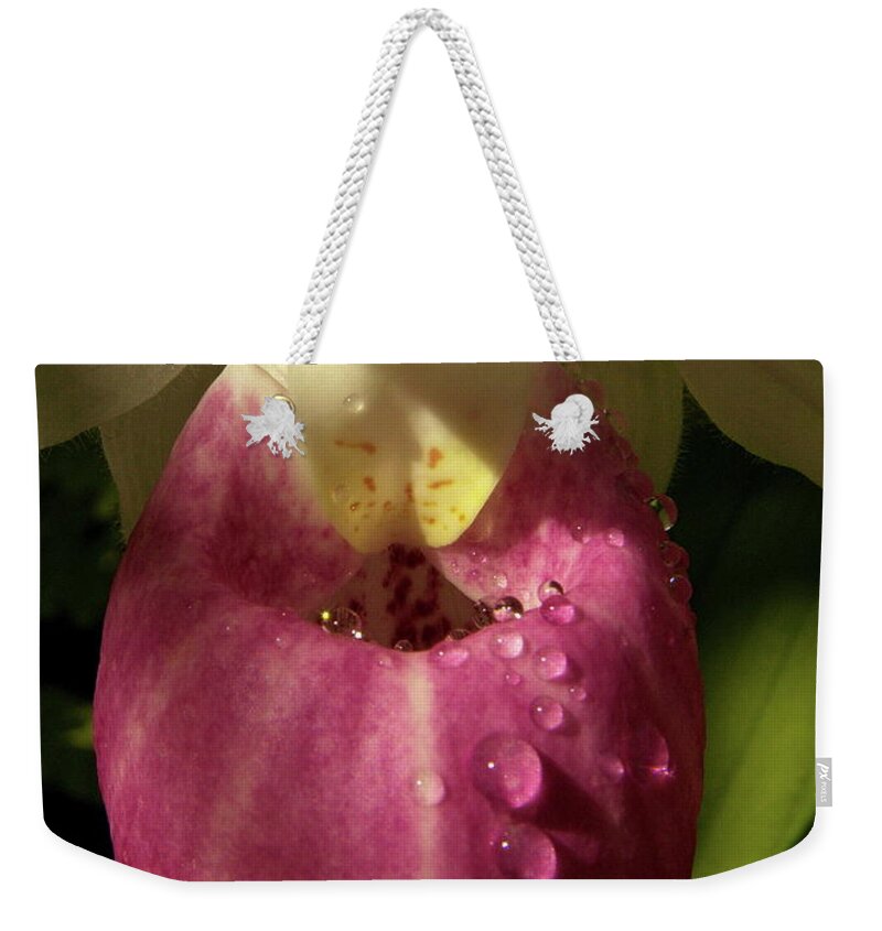 Flowers Weekender Tote Bag featuring the pyrography Morning Dew Drops by Harry Moulton