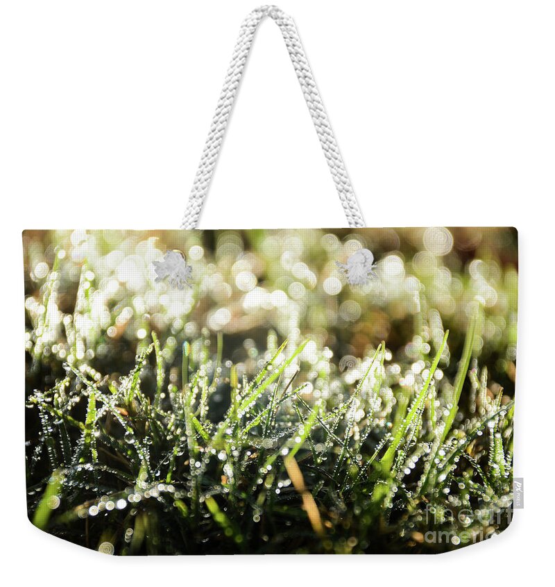 Morning Weekender Tote Bag featuring the photograph Morning Dew on Green by Adrian De Leon Art and Photography
