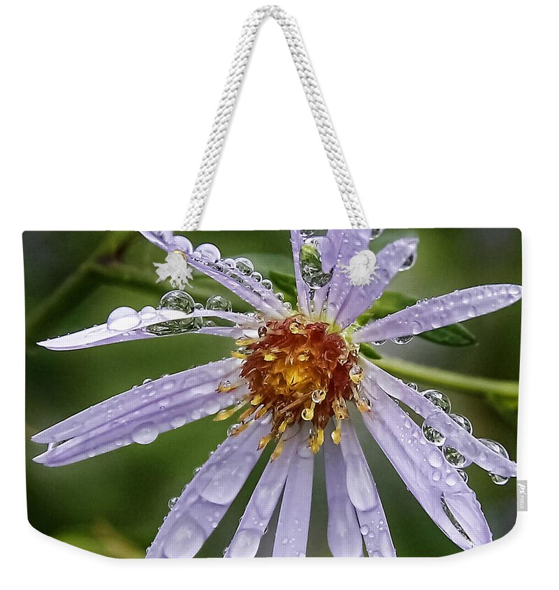 Morning Dew Weekender Tote Bag featuring the photograph Morning Dew by Wes and Dotty Weber