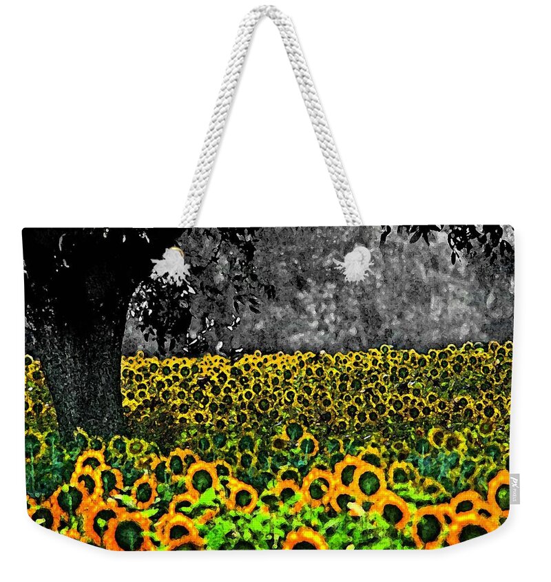 Sunflowers Weekender Tote Bag featuring the painting Morning Doves and the Sunflower Field by Michael Thomas