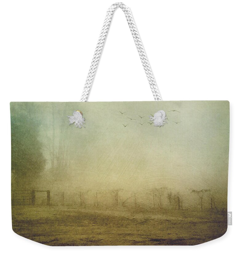 Photography Weekender Tote Bag featuring the photograph Morning Flight In Fog by Melissa D Johnston