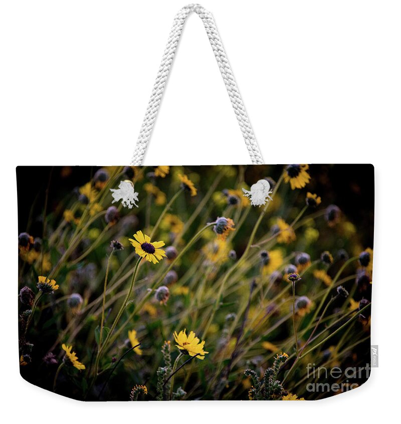Spring Weekender Tote Bag featuring the photograph Morning Flowers by Kelly Wade