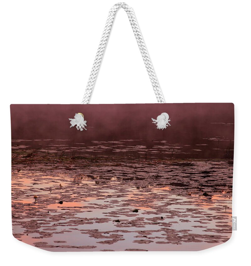 Bonnie Follett Weekender Tote Bag featuring the photograph Morning Fog in the Lily Patch in Mauve by Bonnie Follett